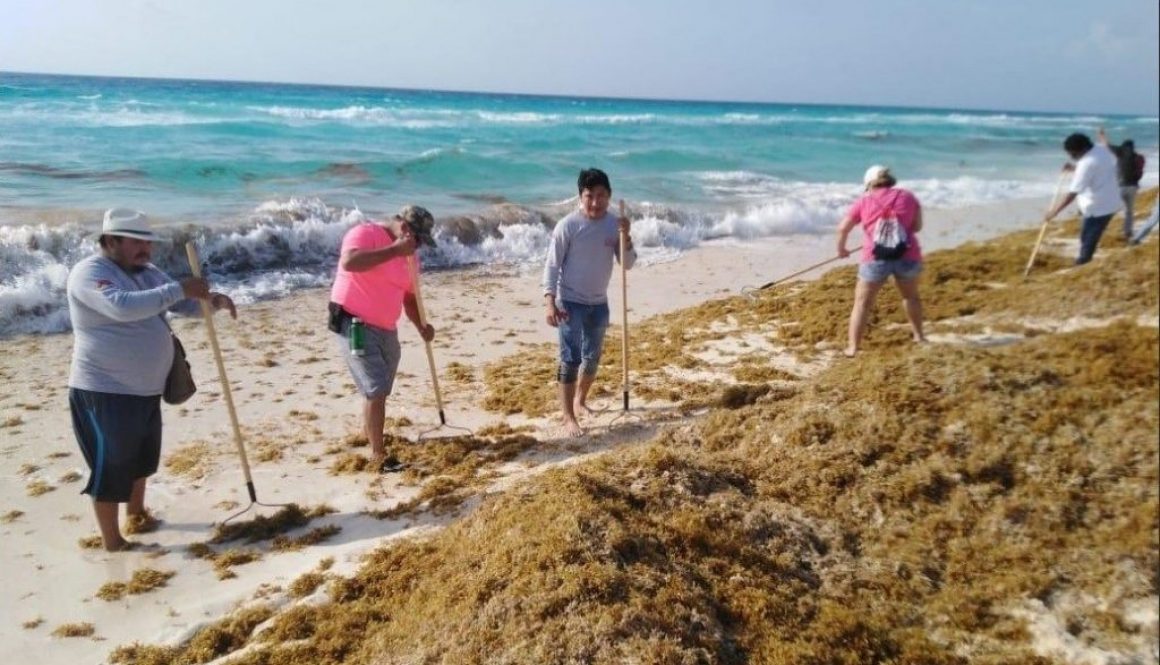 Combate de sargazo en playas de Quintana Roo. (Twitter @AytoCancun)